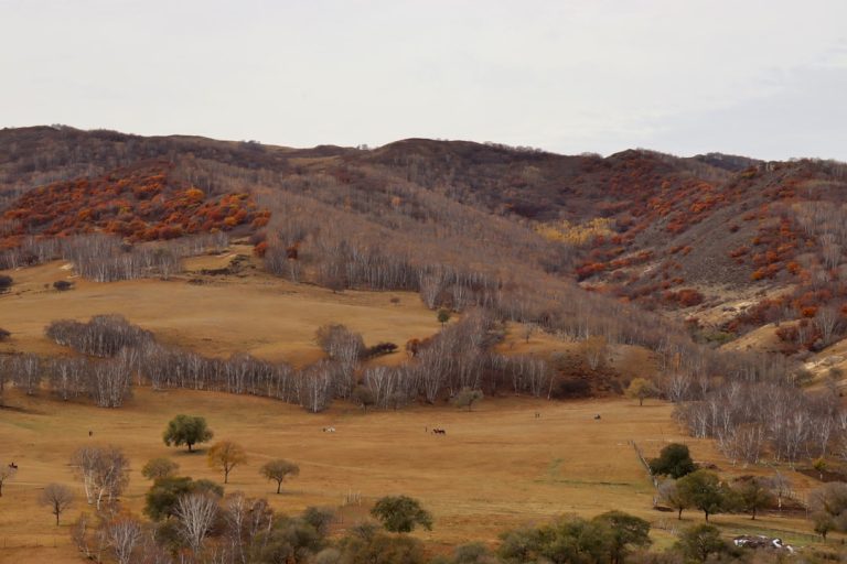 Embracing Nature: The Therapeutic Power of Outdoor Travel